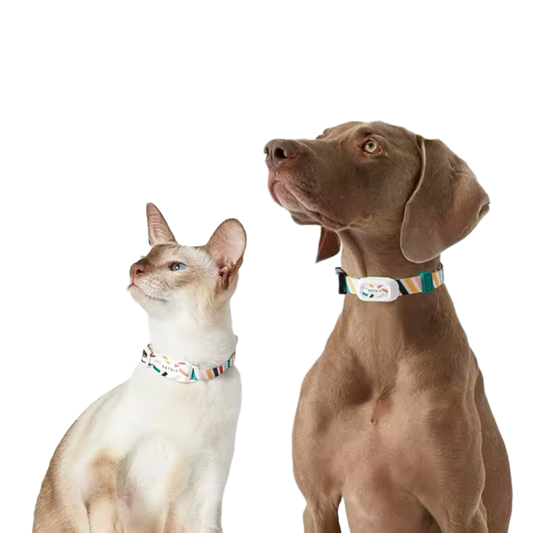 Smart Pet Collar