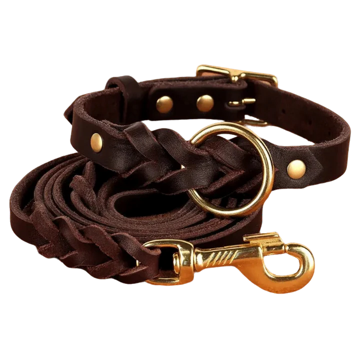 Authentic Leather Canine Collar and Leash