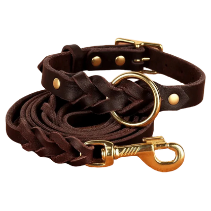 Authentic Leather Canine Collar and Leash