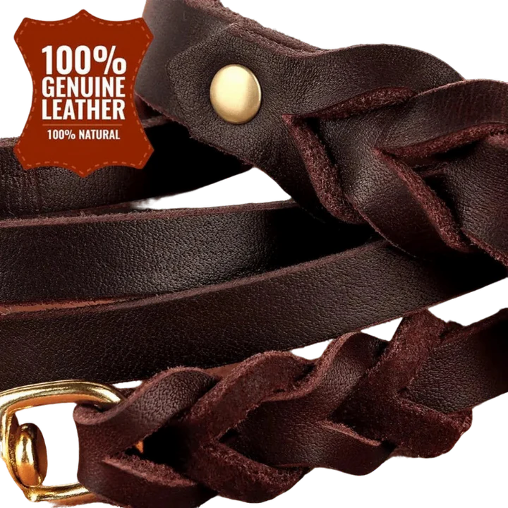 Authentic Leather Canine Collar and Leash