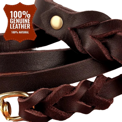 Authentic Leather Canine Collar and Leash