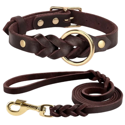 Authentic Leather Canine Collar and Leash