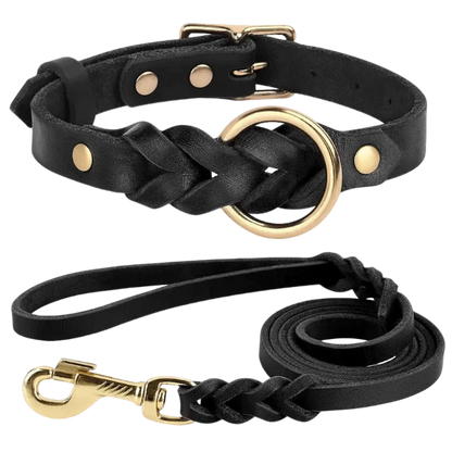 Authentic Leather Canine Collar and Leash